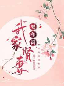 我家爱妻要和离